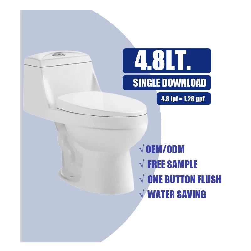 South American Popular Bathroom Inodoro Siphonic 4.8L Single Download Water Saving Toilet