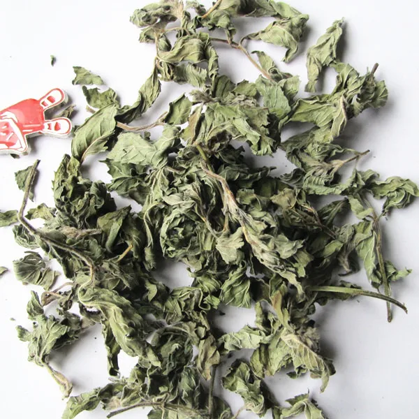 Dried Mint Leaves  (6).JPG