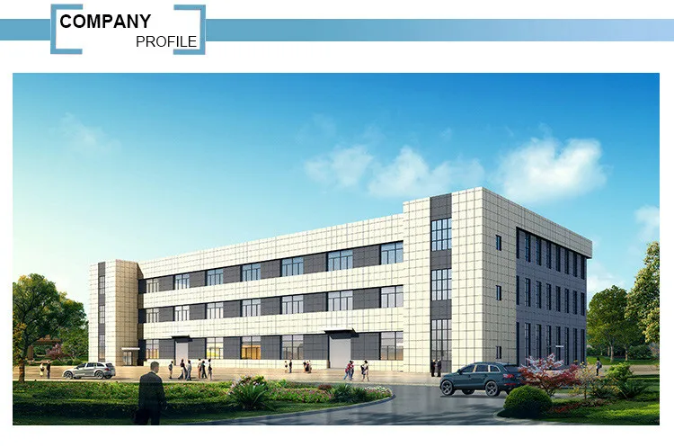 aneasthesia endoscope