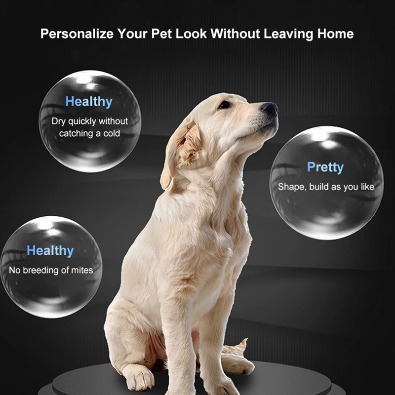 Wholesale Professional Pet Grooming Dryer Adjustable Speed Nozzles Pet Dog Hair Dryer