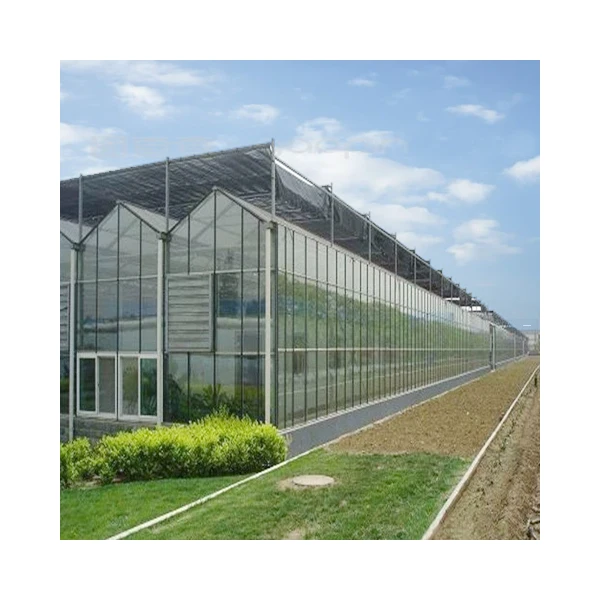 moden large multi span agriculture glass green house commercial tropical agricultural sawtooth greenhouse full automation
