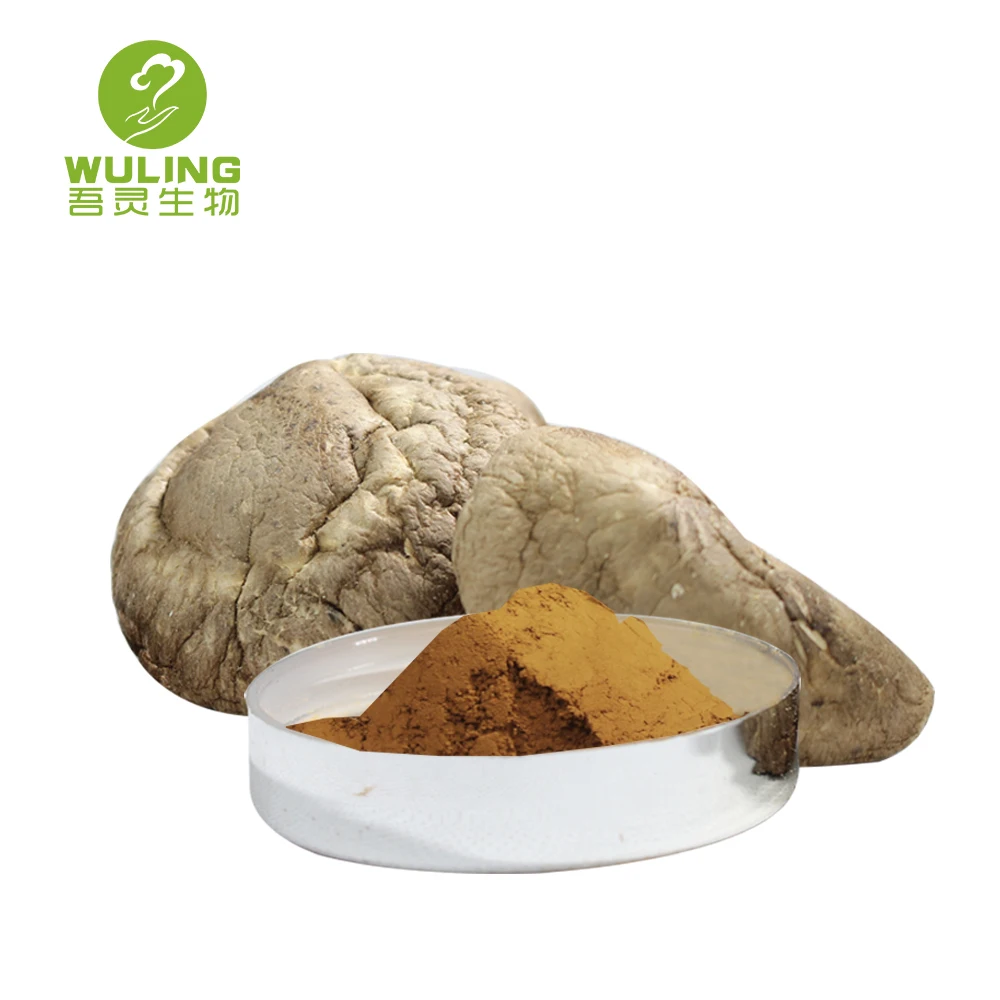 High quality dried shitake mushroom is organic food high shiitake wholesale