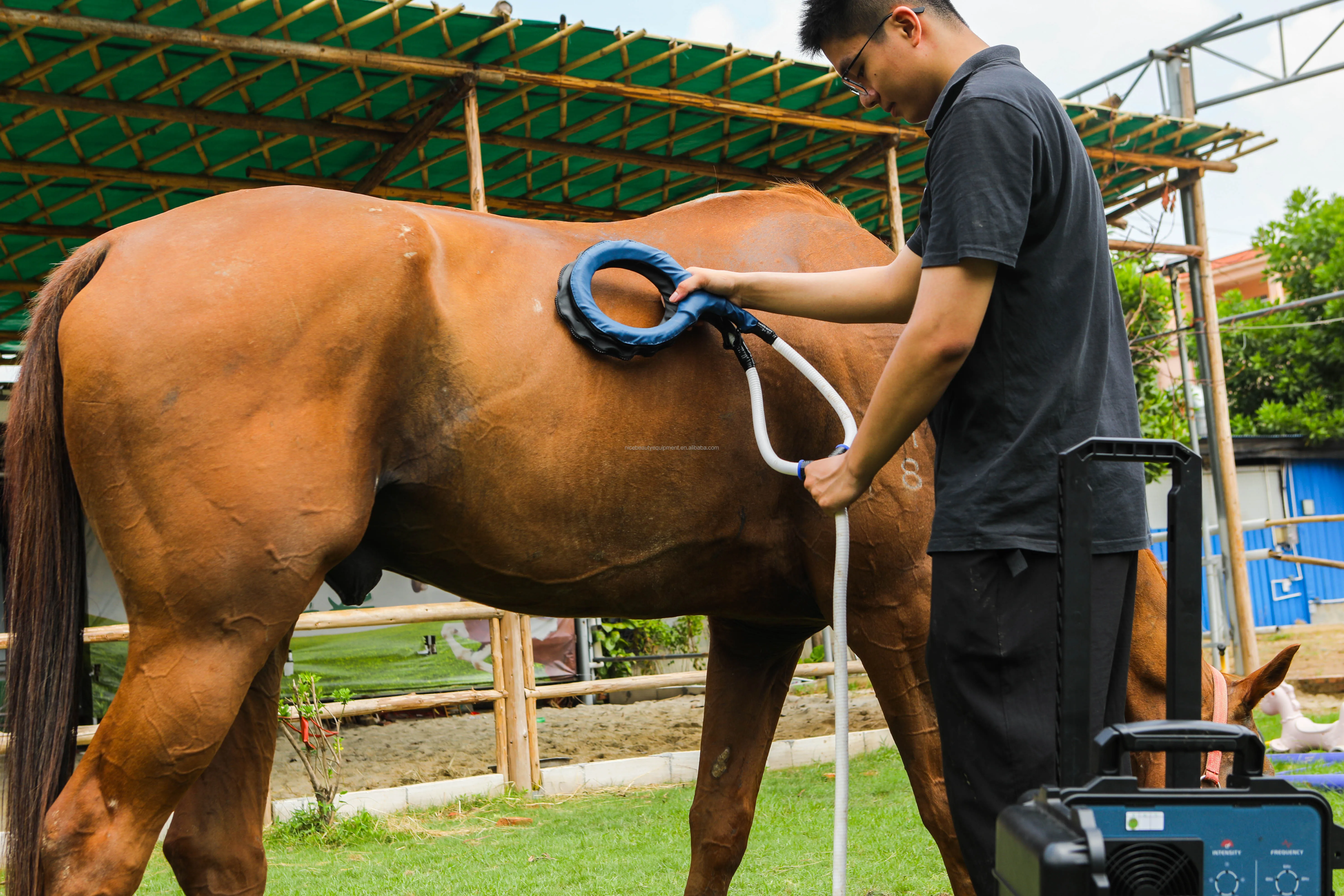 2024 New Year Promotion! Animal Care Machine Physio Magnawave Horse Magnetic Therapy PEMF VET Therapy Machine