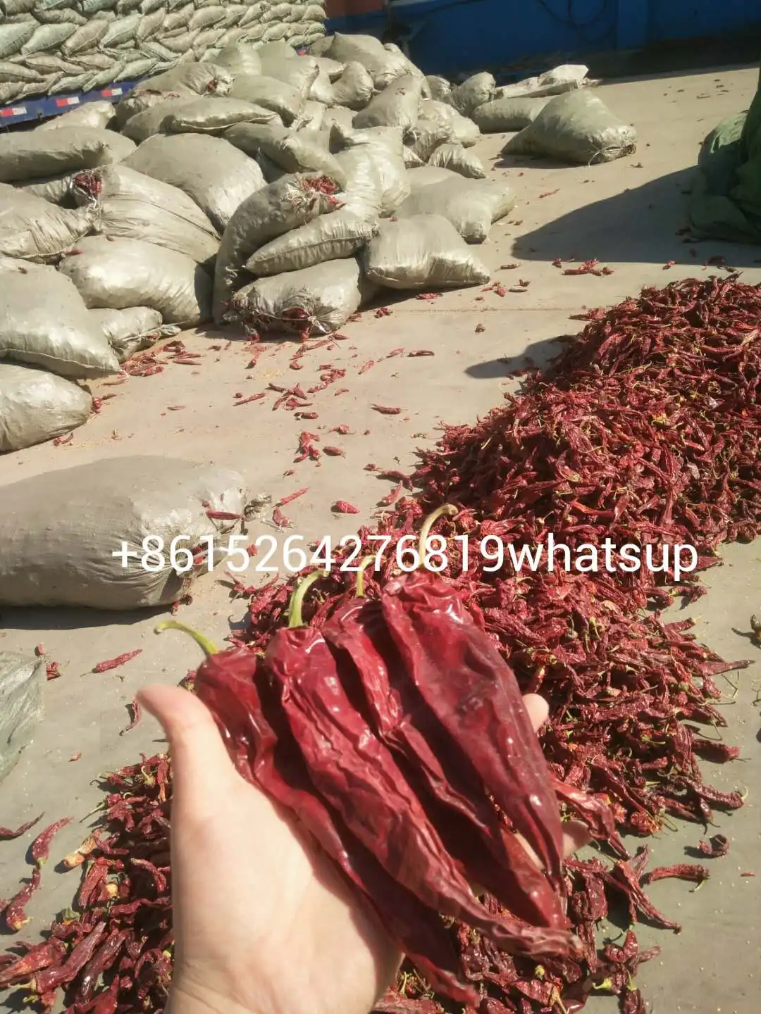 Spain Hungrain Style Paprika Paprika Pods Red Pepper Pods and Red Repper Rowder 8615264276819whatsup