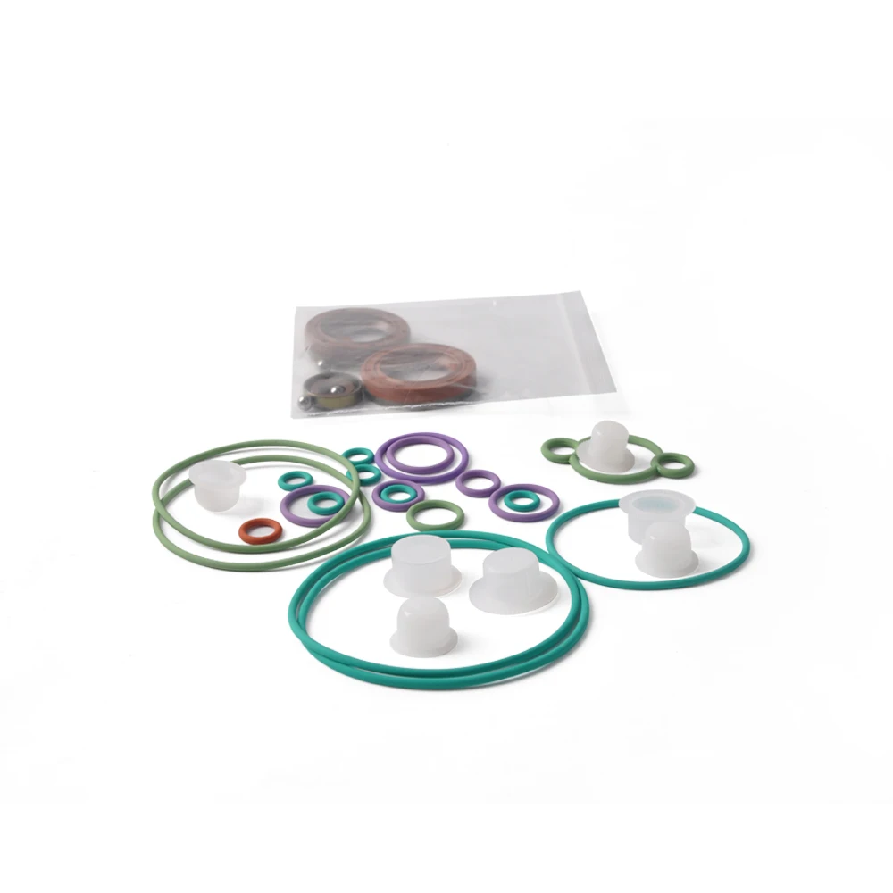 China New CP3  diesel Pump nozzle valve kit for  BO-SCH  fuel pump