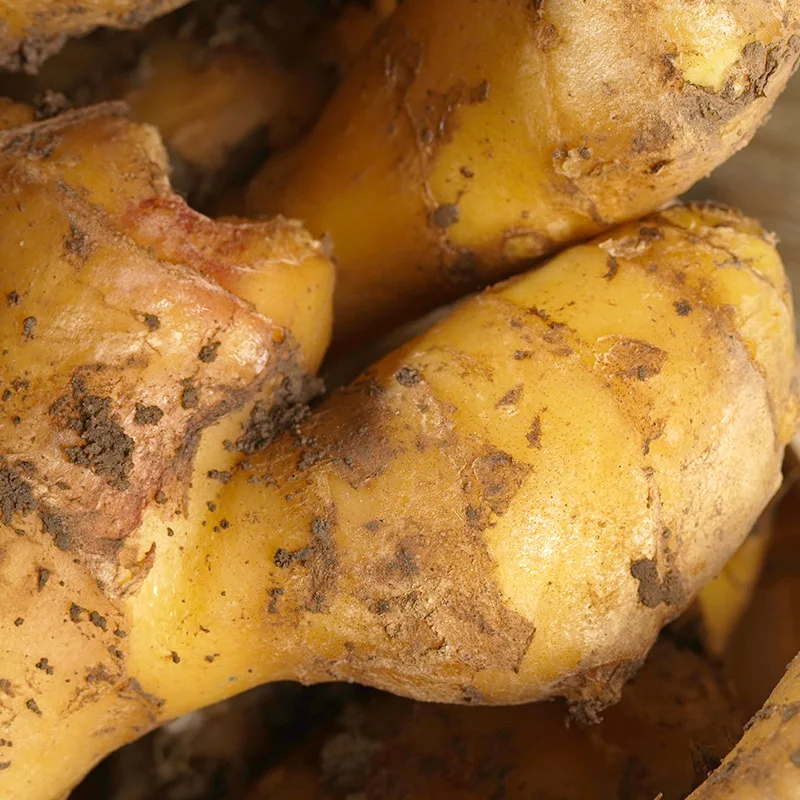 To Europe From Factory Exporting New Season Fresh Ginger