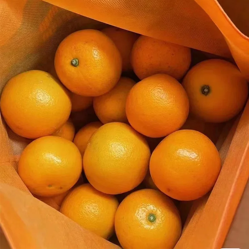 2023 New Crop 100% Natural Pure Healthy Fresh Citrus Fruit From Chinese Farms