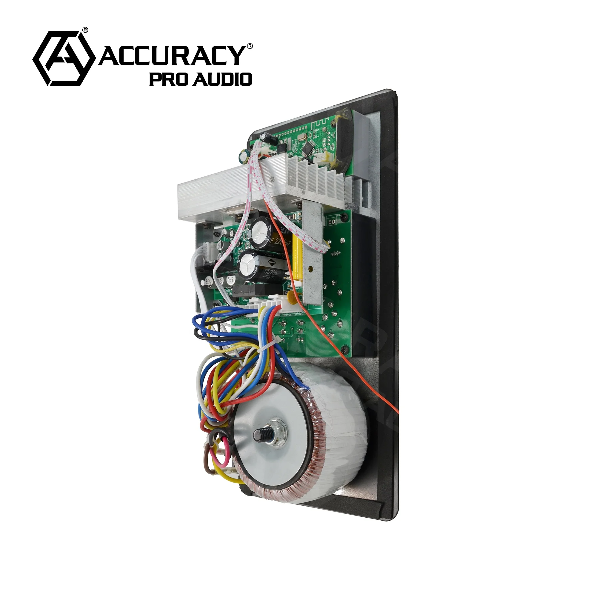 Accuracy Pro Audio10/12/15 Inch Class AB sound power Amplifier audio Module circuit board professional for Speaker