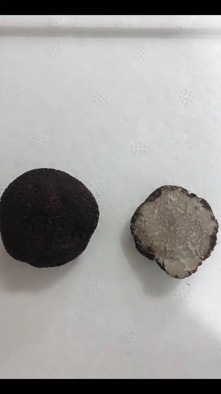 Новый сезон, дикий свежий китайский зимний черный трюфель