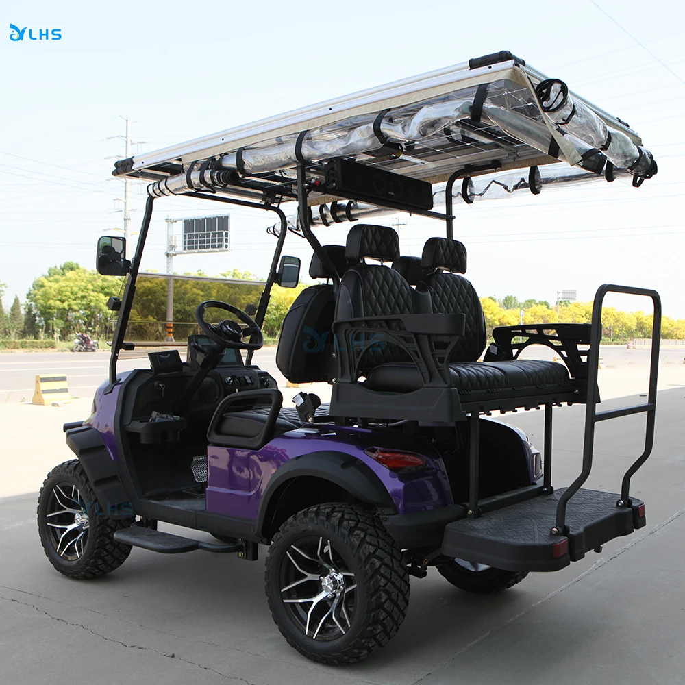 Special transport golf car cheap 2 4 6 seater club car hunting golf buggy electric retro golf cart with bumper