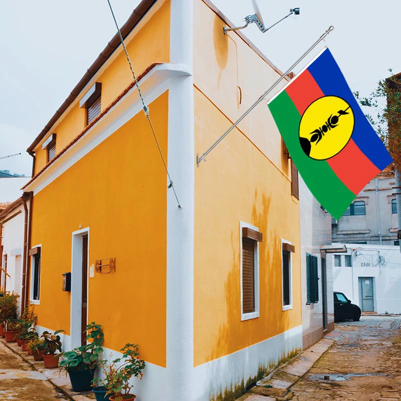 Wholesale 3x5ft New Caledonia flags 68D/100D polyester Customize all nations rapid shipping Reliable supplier  fast delivery