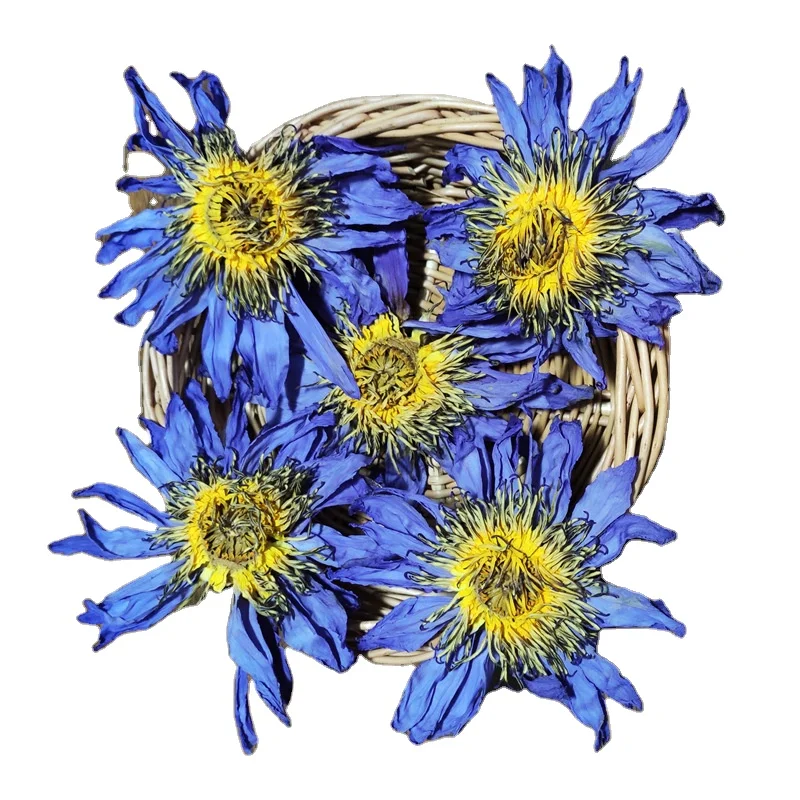 Lan Lian Hua blue waterlily nymphaea caerulea  factory direct hot selling high quality 100%natural dry Blue Lotus