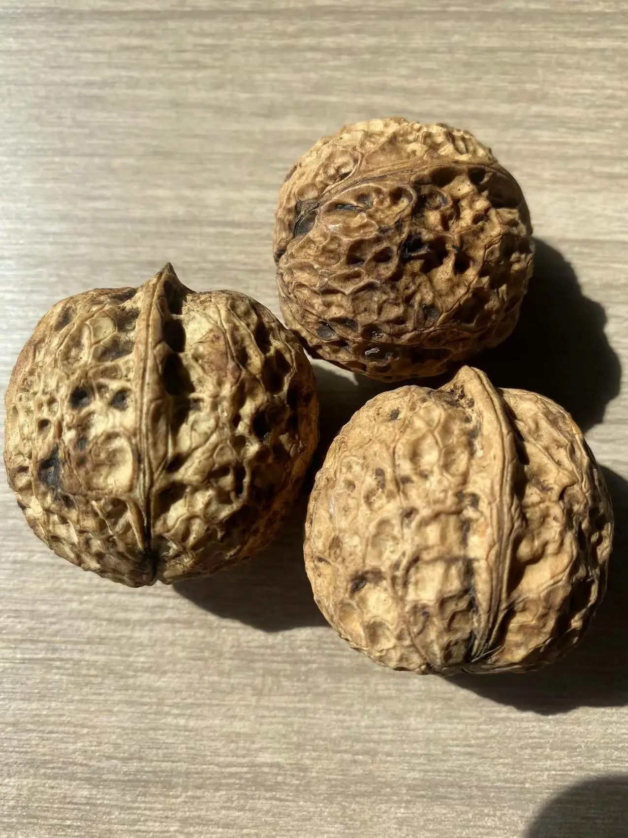 High Quality Whole Walnuts Inshell   Export Walnut White For Sale Snack  Dry Fruit  Fresh Walnuts Price