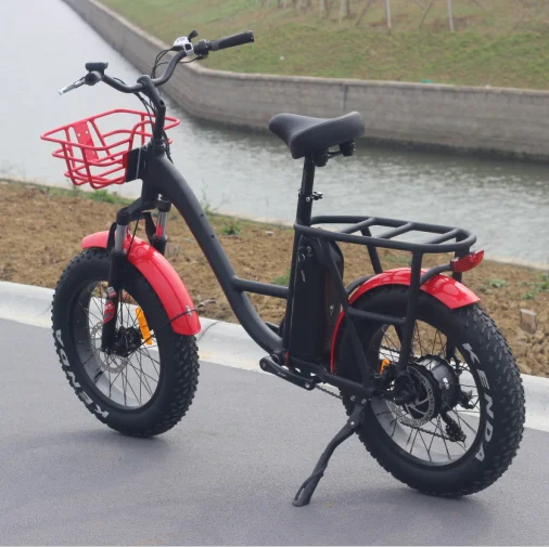 2022 Ristar OEM brand hot sale 48v 500w 750w cheap electric bike, electric city Mountain bike RSD520