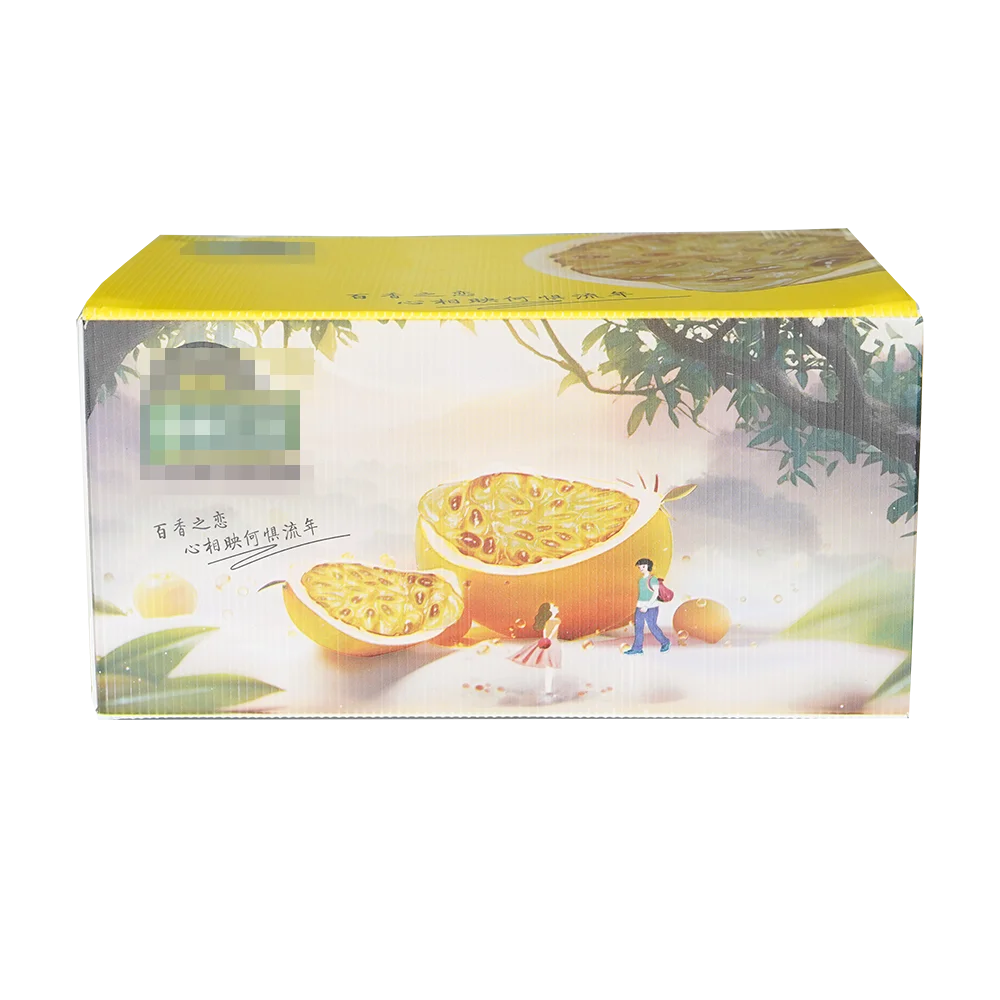 Various types of low price corrugated plastic sheet pp honeycomb board honeycomb collapsible box