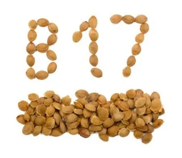 wholesale dry fruits bulk natural raw almond kernels nuts price