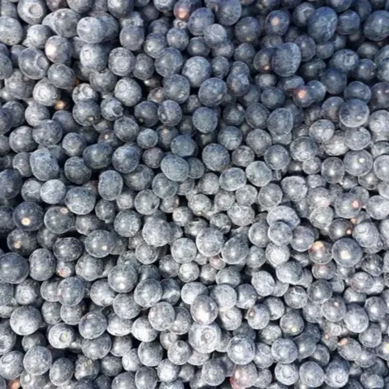 2024 New Crop IQF Frozen Blueberries Frozen Blueberry Whole Frozen Fruits