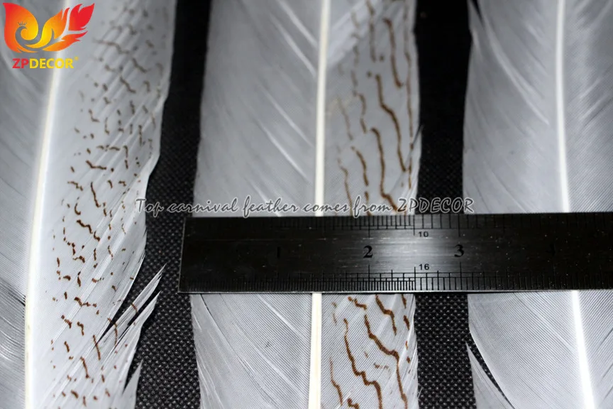 TOP Supplier ZPDECOR Factory Wholesale 70-75 cm White Silver Pheasant Tail Feather for Carnival Costumes
