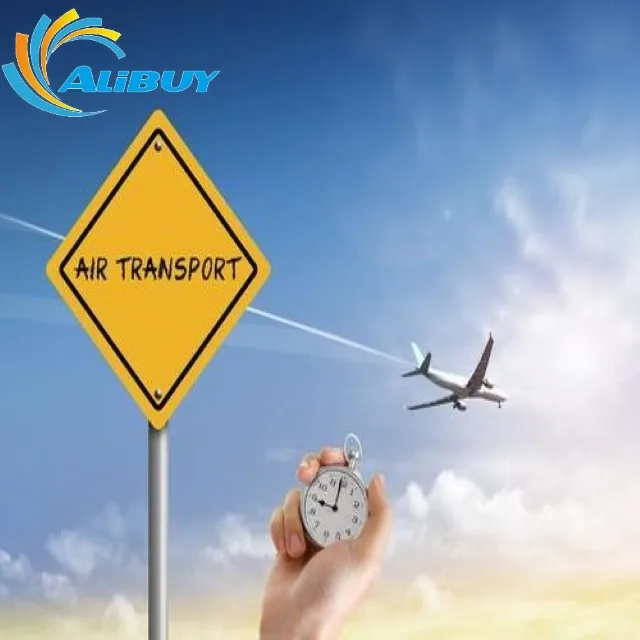 China Shenzhen Guangzhou Air Sea Shipping With Warehouse services