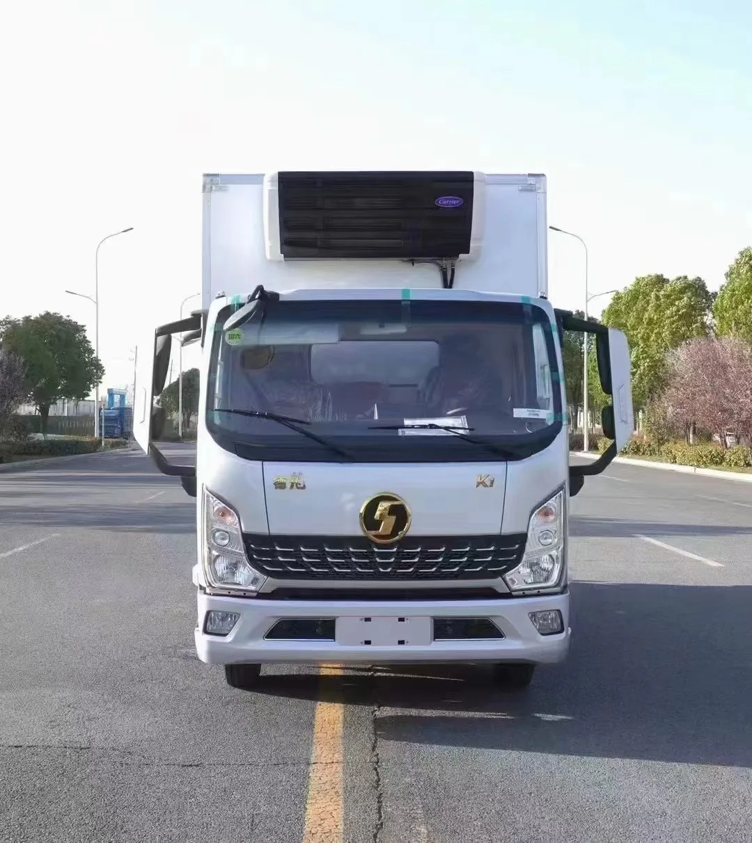 Прямая Продажа с завода 5-тонный рефрижератор SHACMAN фургон для заморозки и транспортировки овощей мяса