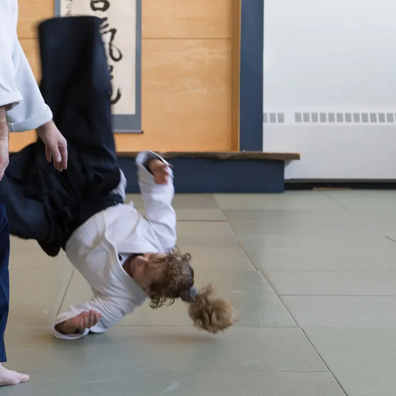 Professional pvc foam used judo tatami martial arts indoor floor mats