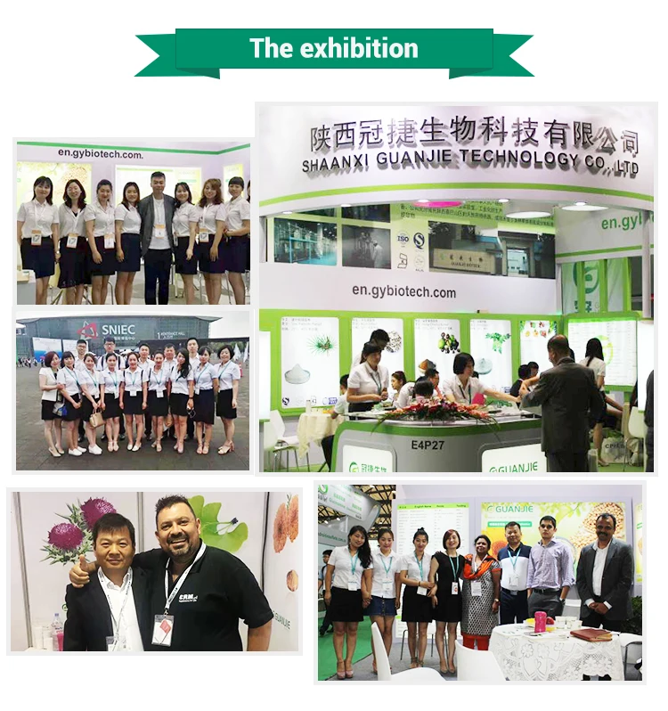 
Manufacturer Supply Vine Tea Extract Dhm Dihydromyricetin Powder And In Bulk 