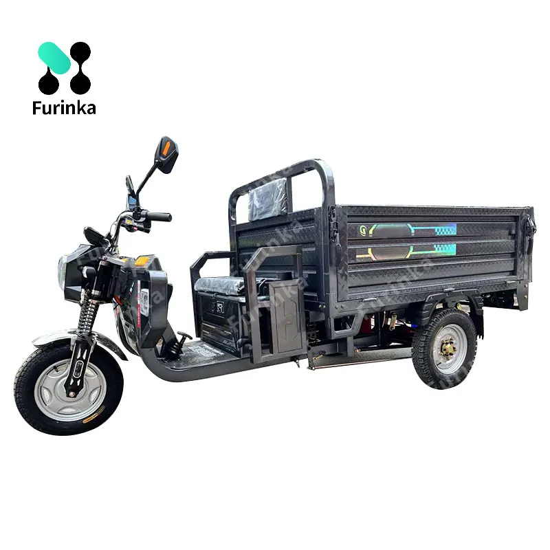 Heavy Duty Electric Cargo Vehicle 1200W High Speed Three Wheel Truck Cargo Tricycle with 1200W Motor and Cargo Box