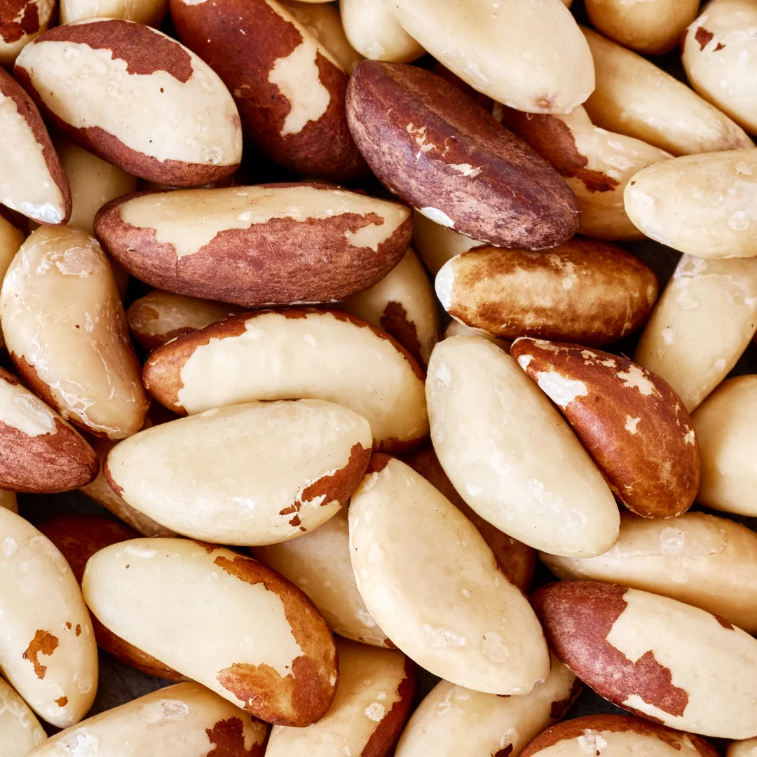 High Nutritional Brazilian Hair Oil Natural Skin Care Product Raw Ingredient Brazil Nut Oil