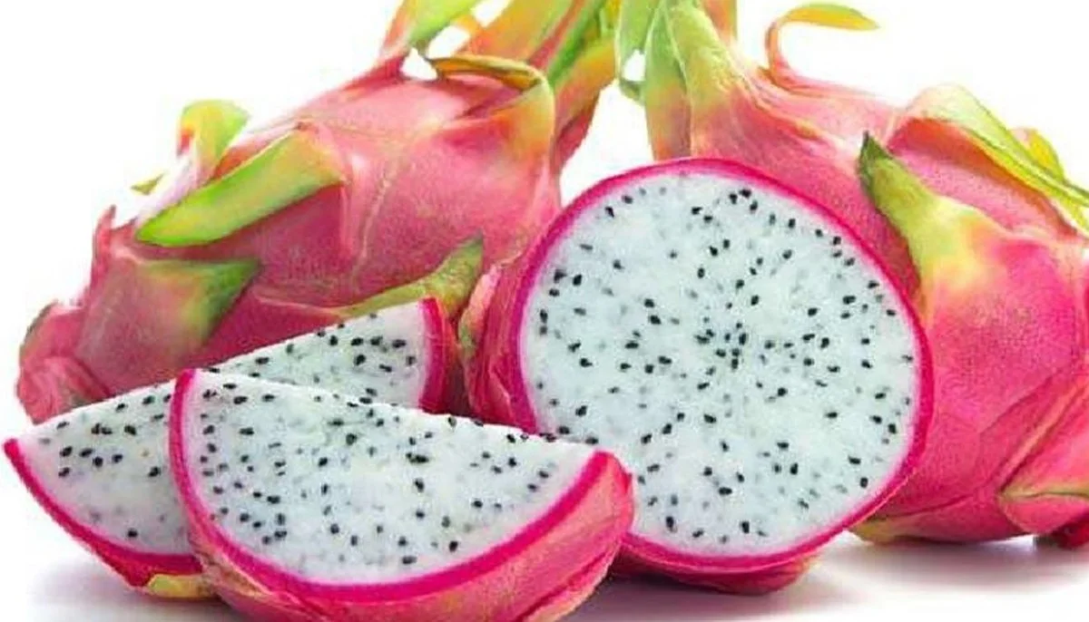 
100% natural dragon fruits from Vietnam 