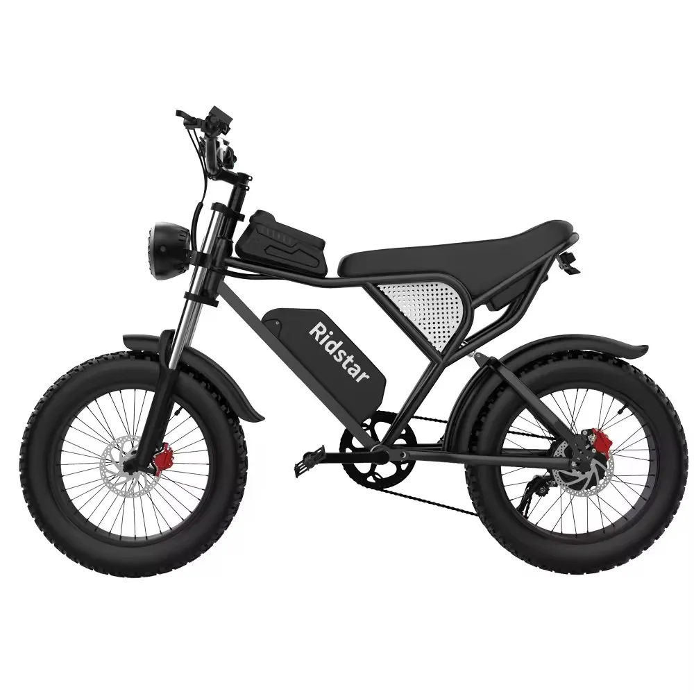 ridstar q20 1000w 2000w 2000watt ebike upgrade 20 electric bike for adults