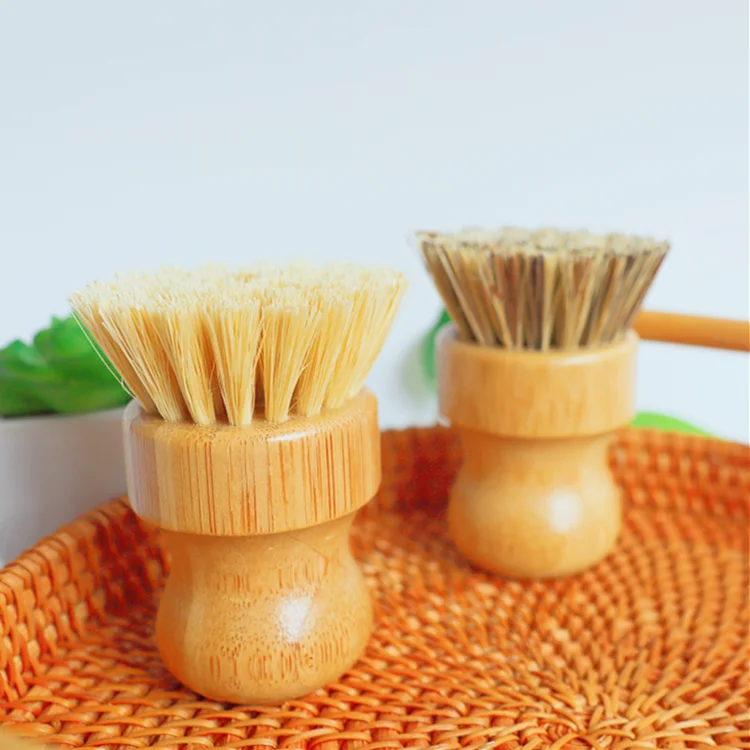 eco dish brush.png