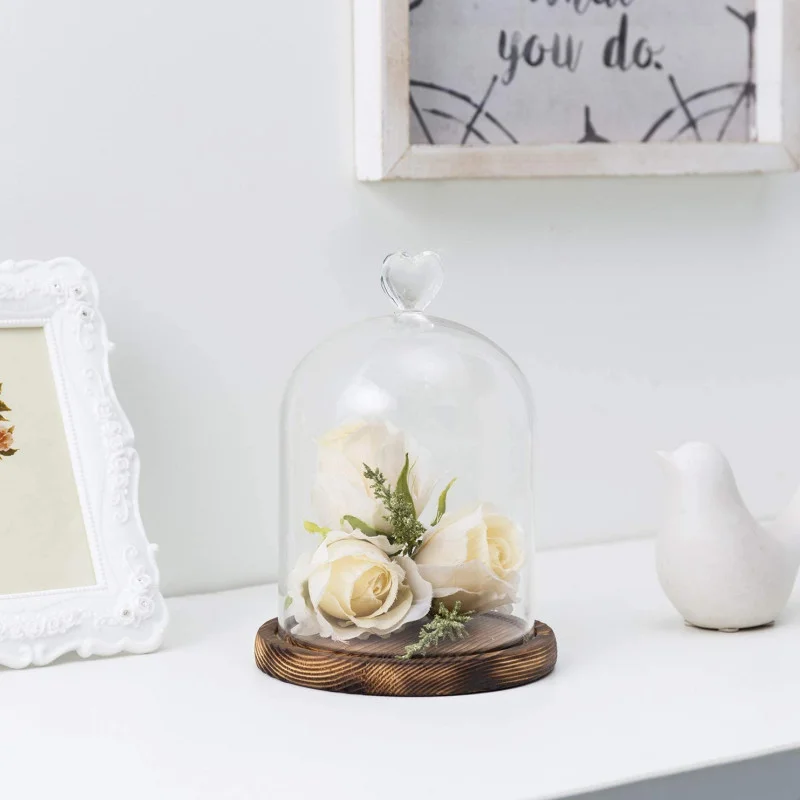Clear Glass Cloche Bell Jar Cloche Bell Jar Display Dome Case with Wooden Base for flowers