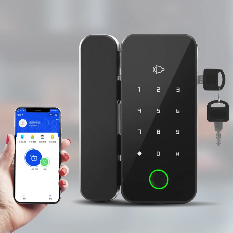 Safety Rim Keyless Wifi Biometric Fingerprint Face Recognition Office Electric Motorized Door Lock