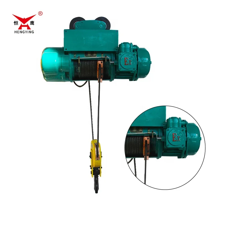 Factory Price Strong Durable 380V 440V 3 Phase Single Speed Heavy Type Wire Rope Electric Hoist with 2 motors