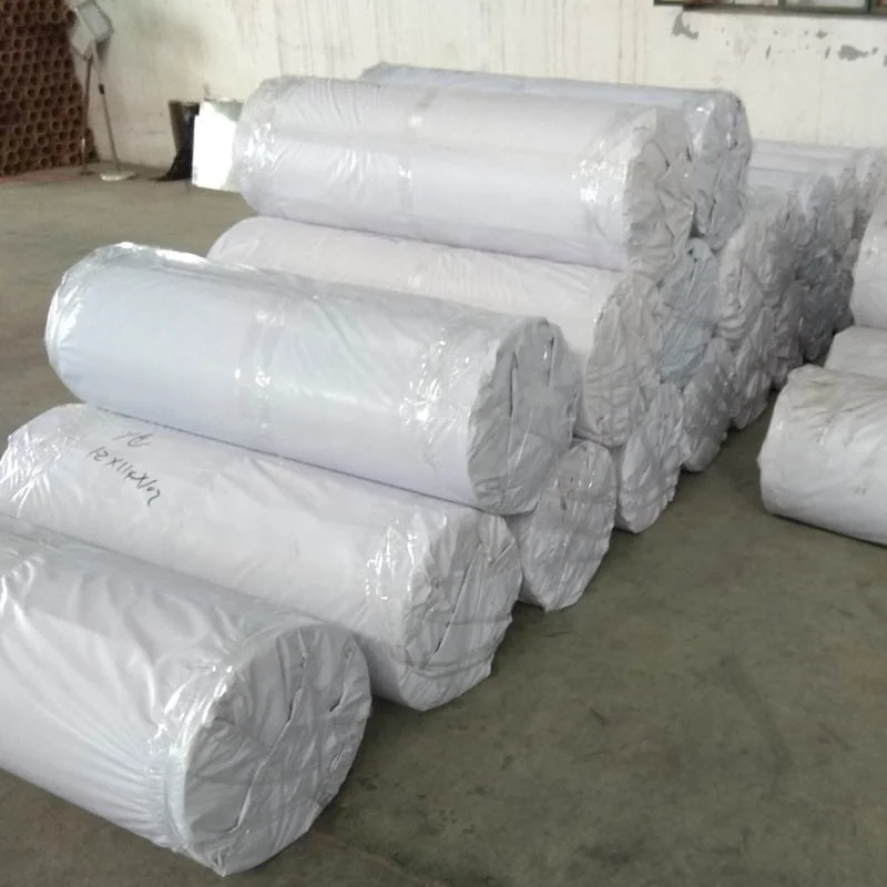 chicken farm poultry litter manure removal conveyors