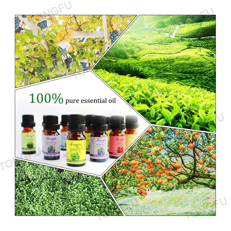 Top Quality Wholesale 100% Pure Natural Perilla Oil Organic Massage Perilla Seed Oil