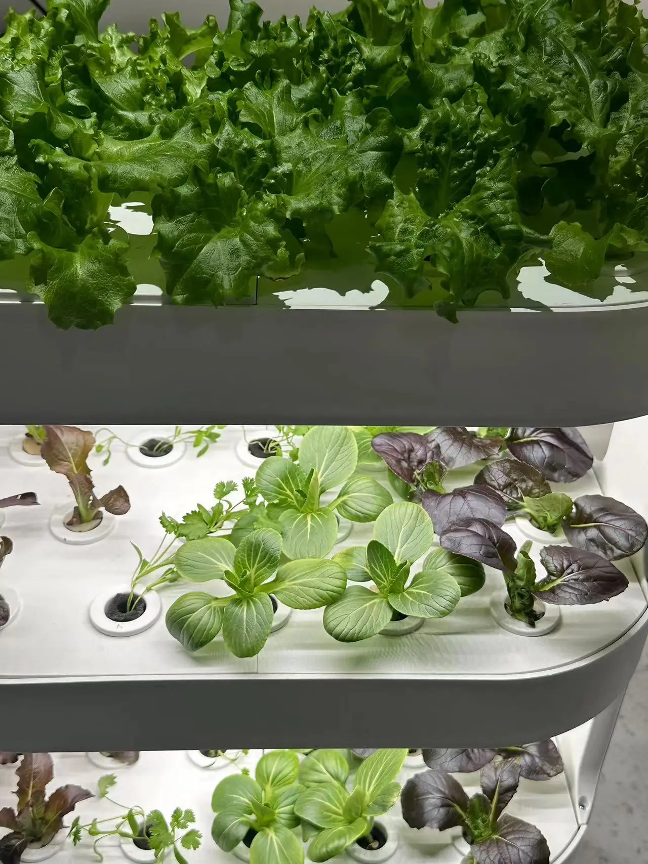China factory greenhouse Indoor soilless planting frame vegetable hydroponic system