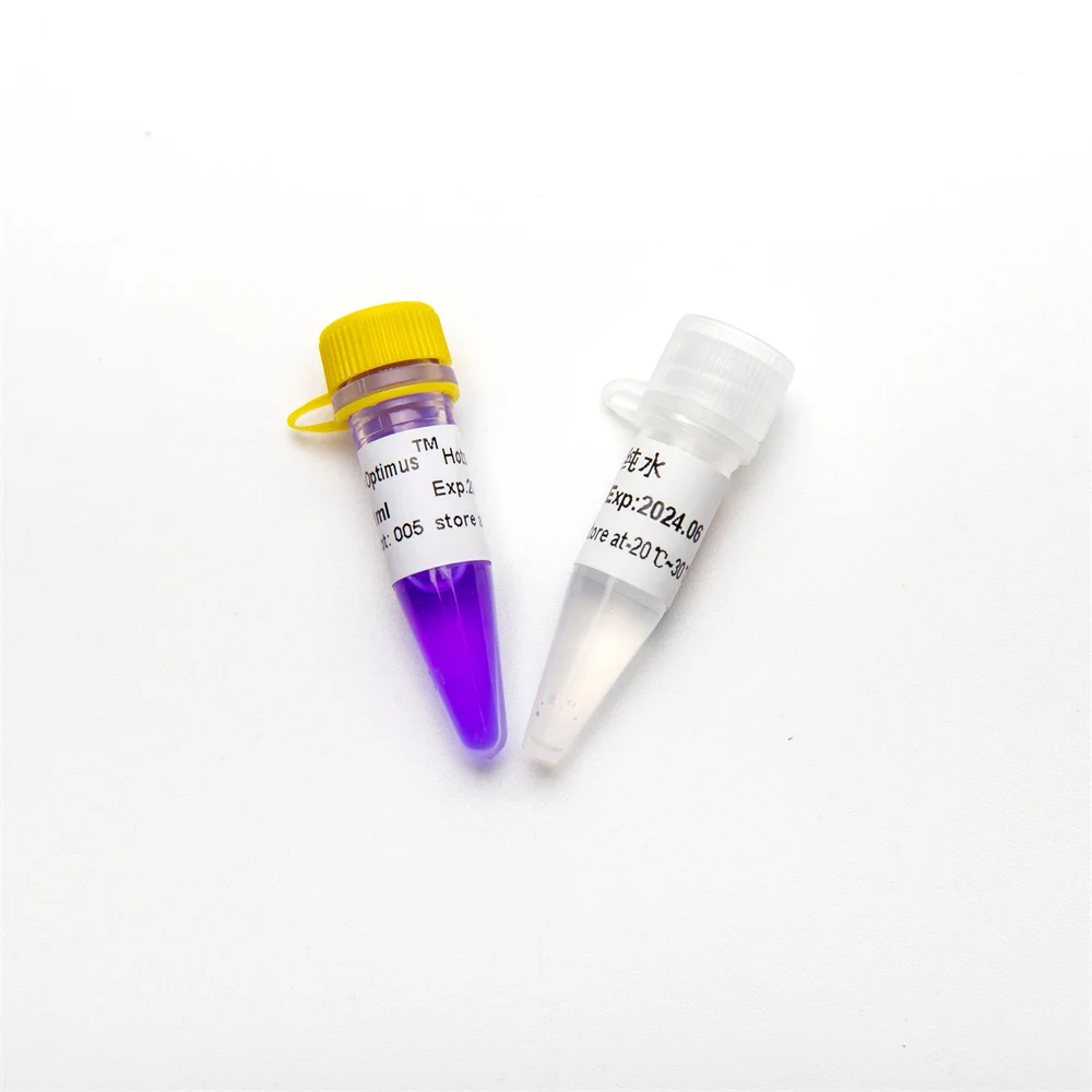 DNA PCR HS Probe qPCR Mix with UDG P2301-P2302