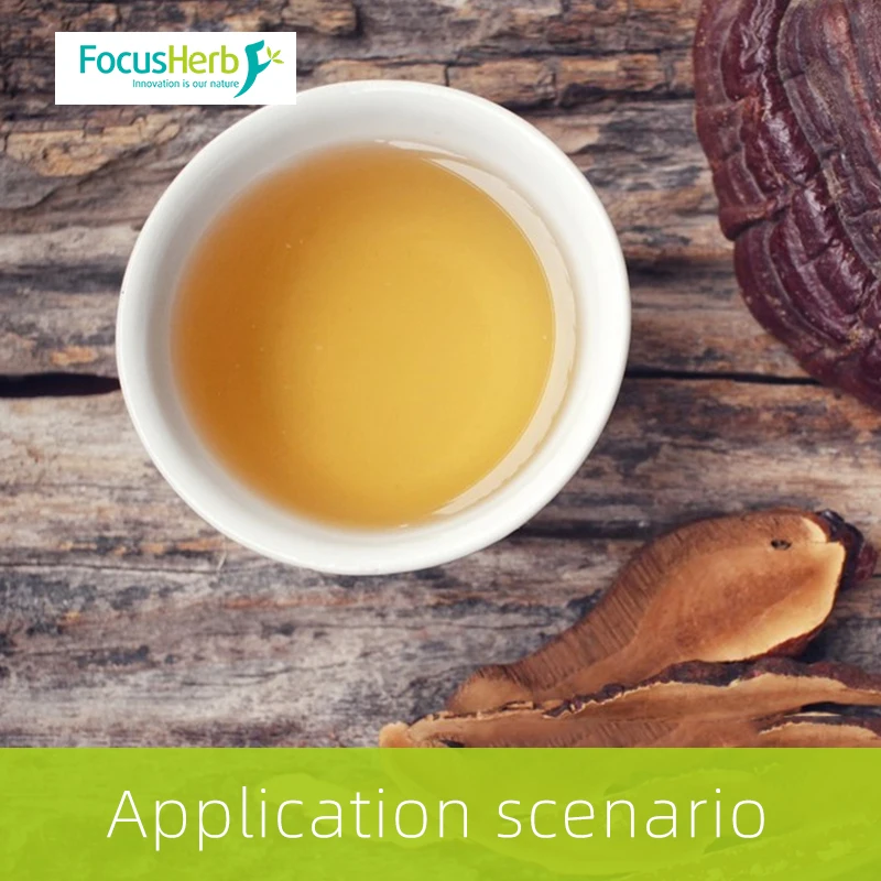 
FocusHerb pure ganoderma lucidum polysaccharide extract 