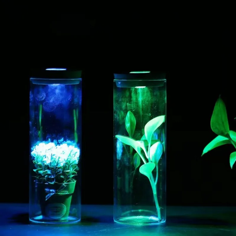 Nordic Tall Cylinder Clear Glass Vase Home Decor Wedding Desktop Micro Landscape Tree Bonsai Small Tabletop Vase Transparent