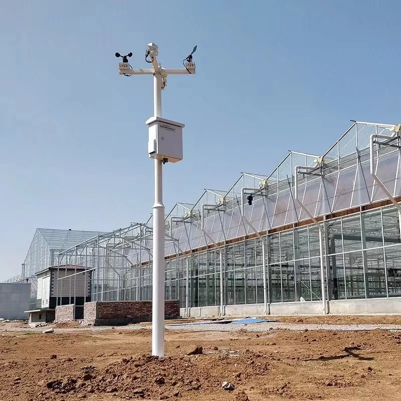 Цифровая Автоматическая сельскохозяйственная Метеостанция Садовые принадлежности для мониторинга прогноза погоды