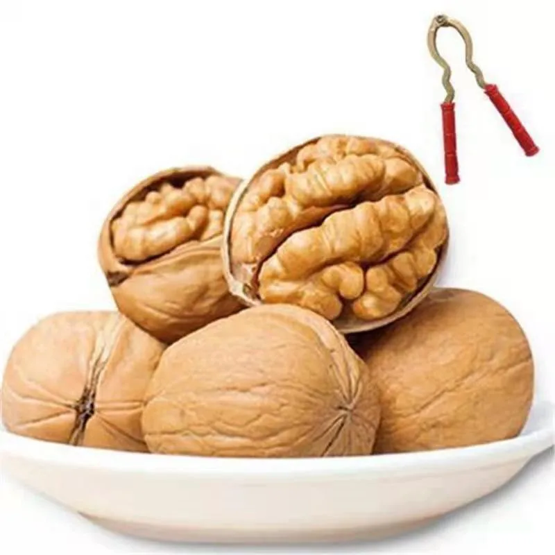Walnut factory supply lowest price plant walnut shell Xinjiang base paper 185 walnuts