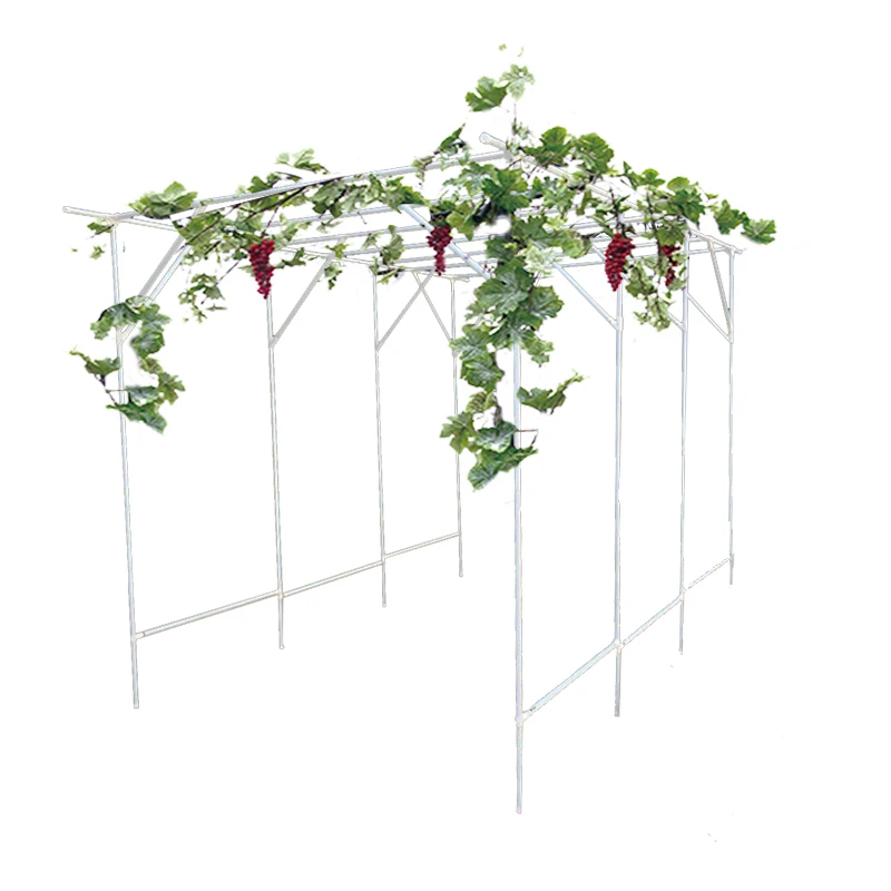 PE-Coated Metal Pipes Fruit Cage Garden Courtyard Grape Vine Trellis