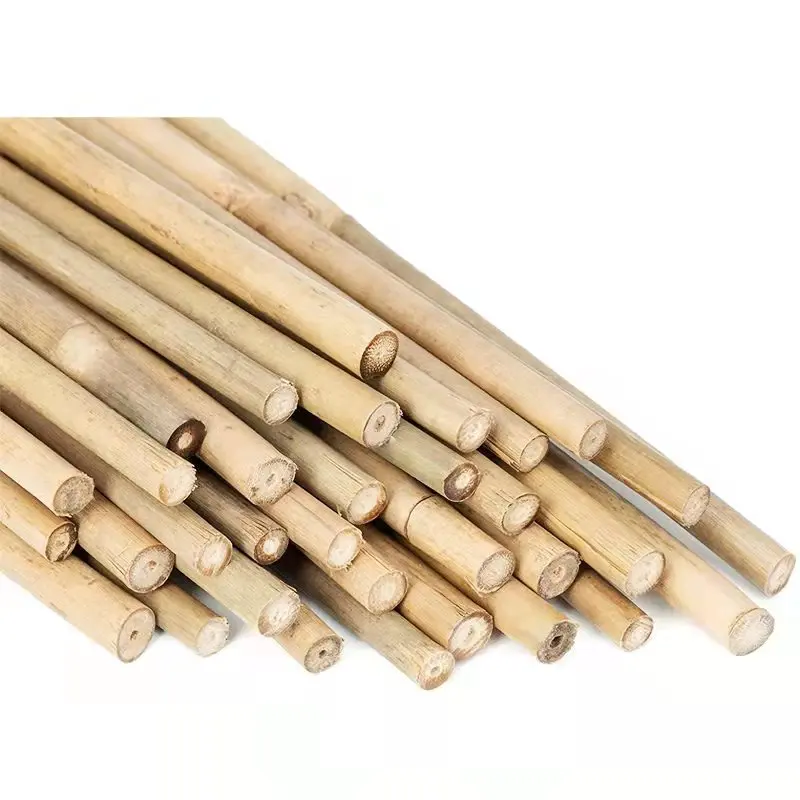 Wholesale Nature Raw Tonkin Yellow Bamboo Pole Cane Material For Decorative And Plants Grow Support