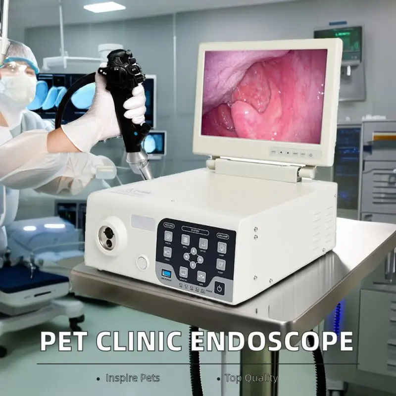 High Quality Portable Veterinary Endoscope Gastrointestinal Endoscopy Camera for Pet Clinics and Animal Hospitals