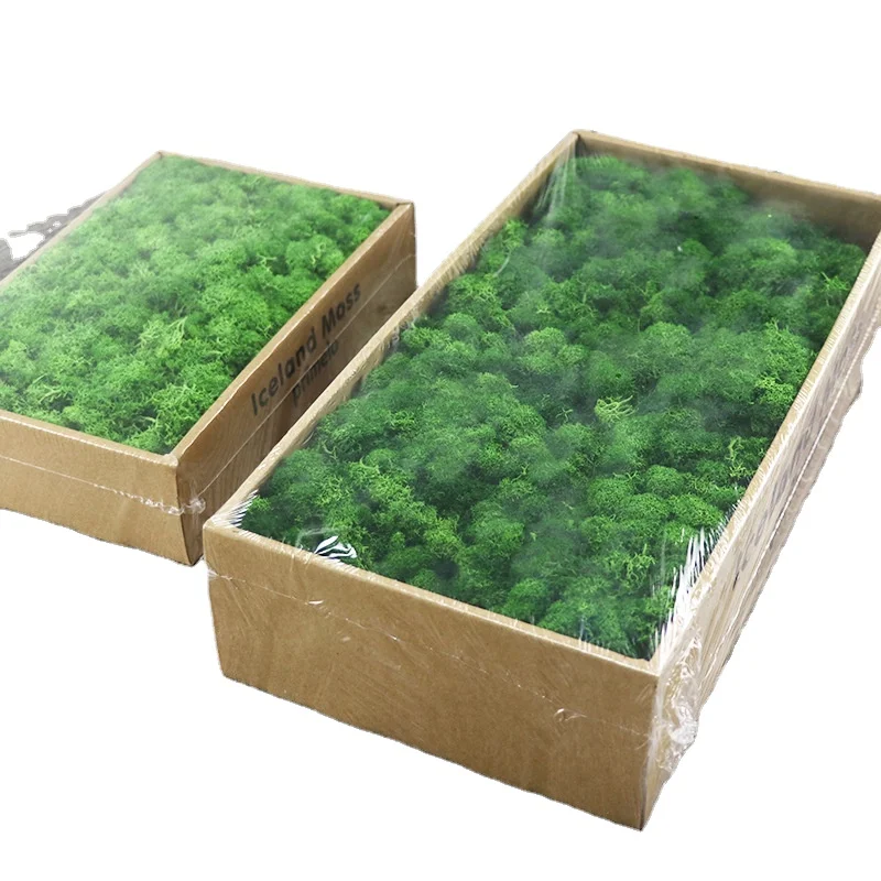 
wholesale preserved wall moss letters box lichen stabilized irish moss 