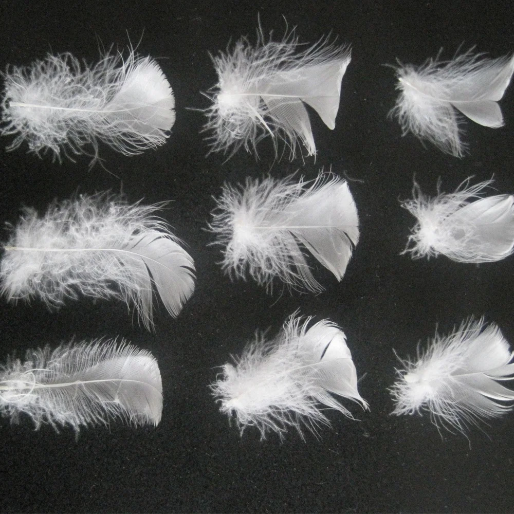 
90/10 washed white duck feather down for pillow 