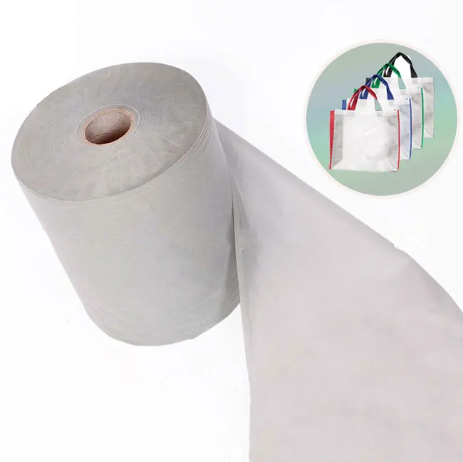 100%TNT 10gsm-200gsm Polypropylene Spunbonde pp Nonwoven Fabric Nonwoven Fabric Roll pp Nonwoven Fabric Price pp Non Woven Bag