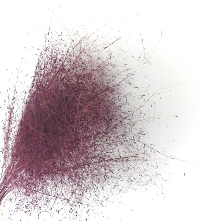 New product handmade preserved limonium carved wooden decor pressed flower wall art rattan glass