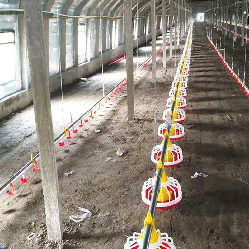 Advanced Design Complete Automatic Broiler farm Chicken Poultry Farming Equipment